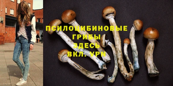гашишное масло Богородицк