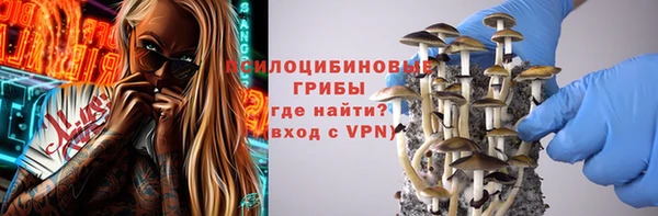 соль курить ск Богданович