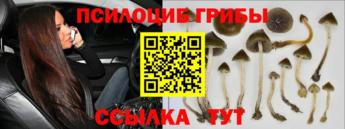 Галлюциногенные грибы Magic Shrooms  Вход с VPN  Буйнакск 