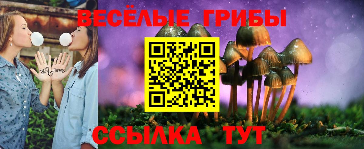 Псилоцибиновые грибы MAGIC MUSHROOMS Буйнакск